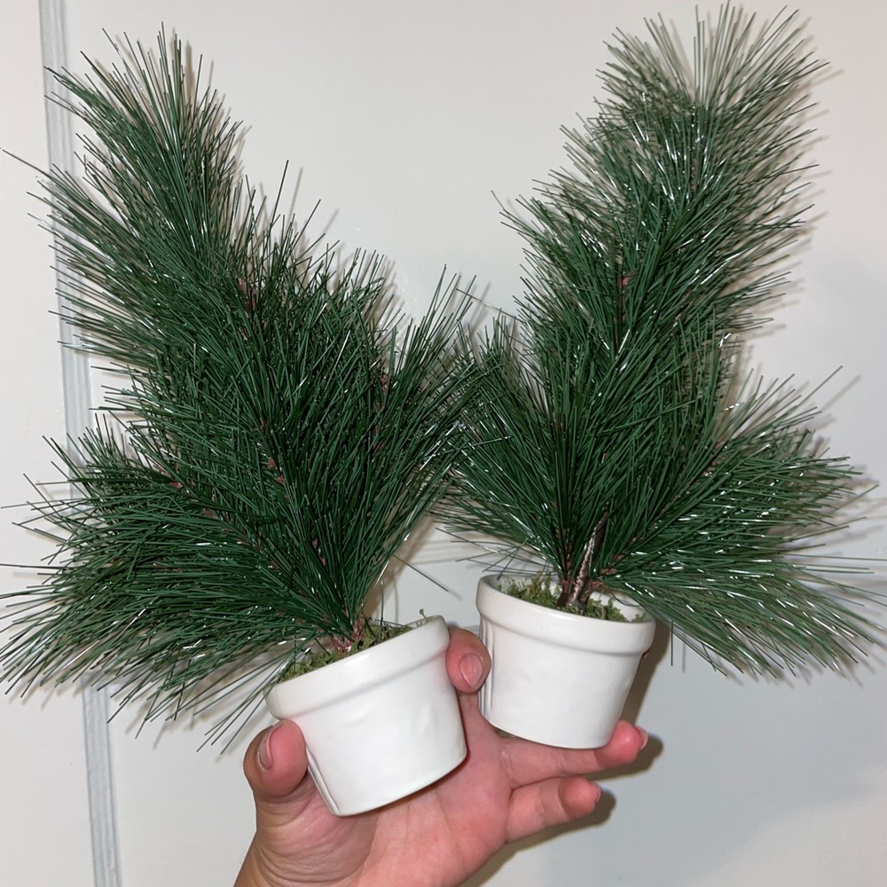 2 Target Table Top Small tree
